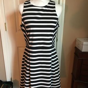 Apt9 knee length fit and flare dress